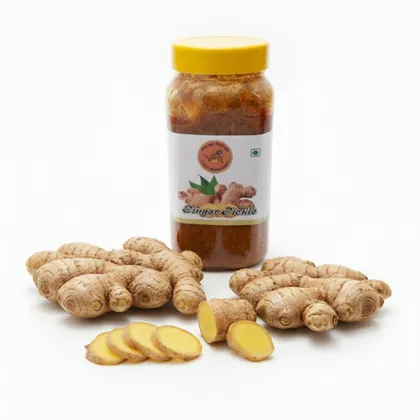Ginger Pickle (अदरक अचार) – Vrindavan Aushadhiya Misthan, Haridwar